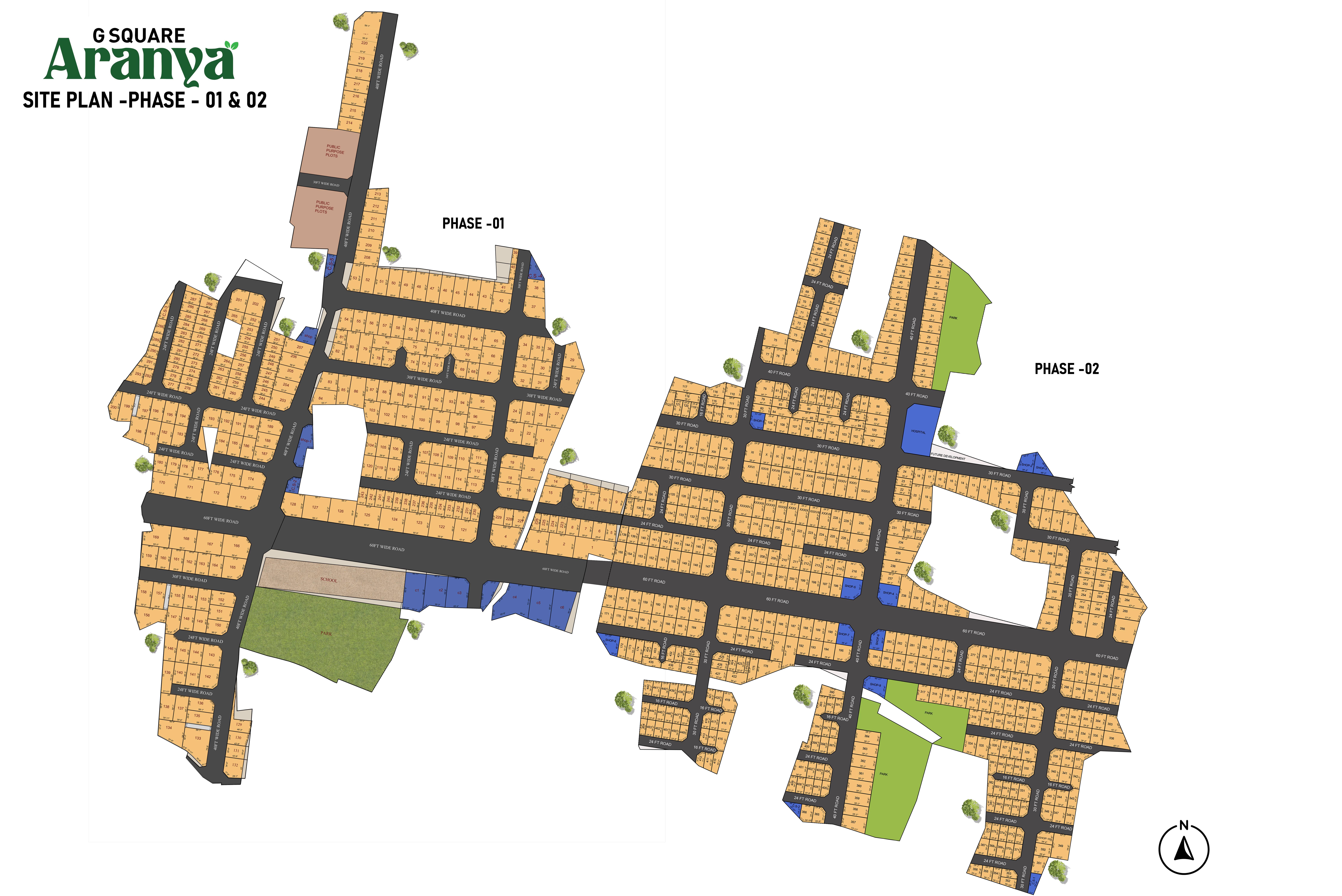 Project Layout